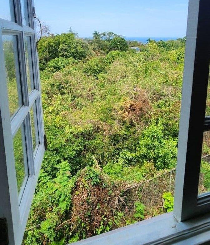 Ninth image of Apt 12- Park Avenue in Montego Bay, St. James, Jamaica - property is For Rent