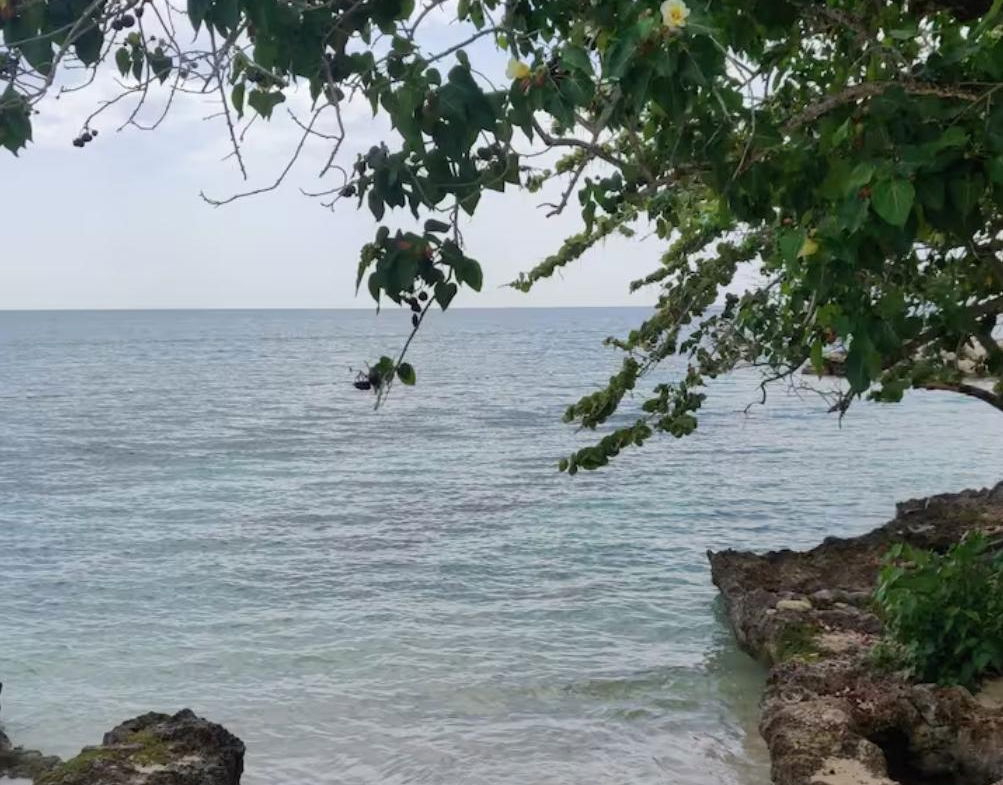 Eighteenth image of 19- Point Village in Point, Hanover, Jamaica - property is For Rent