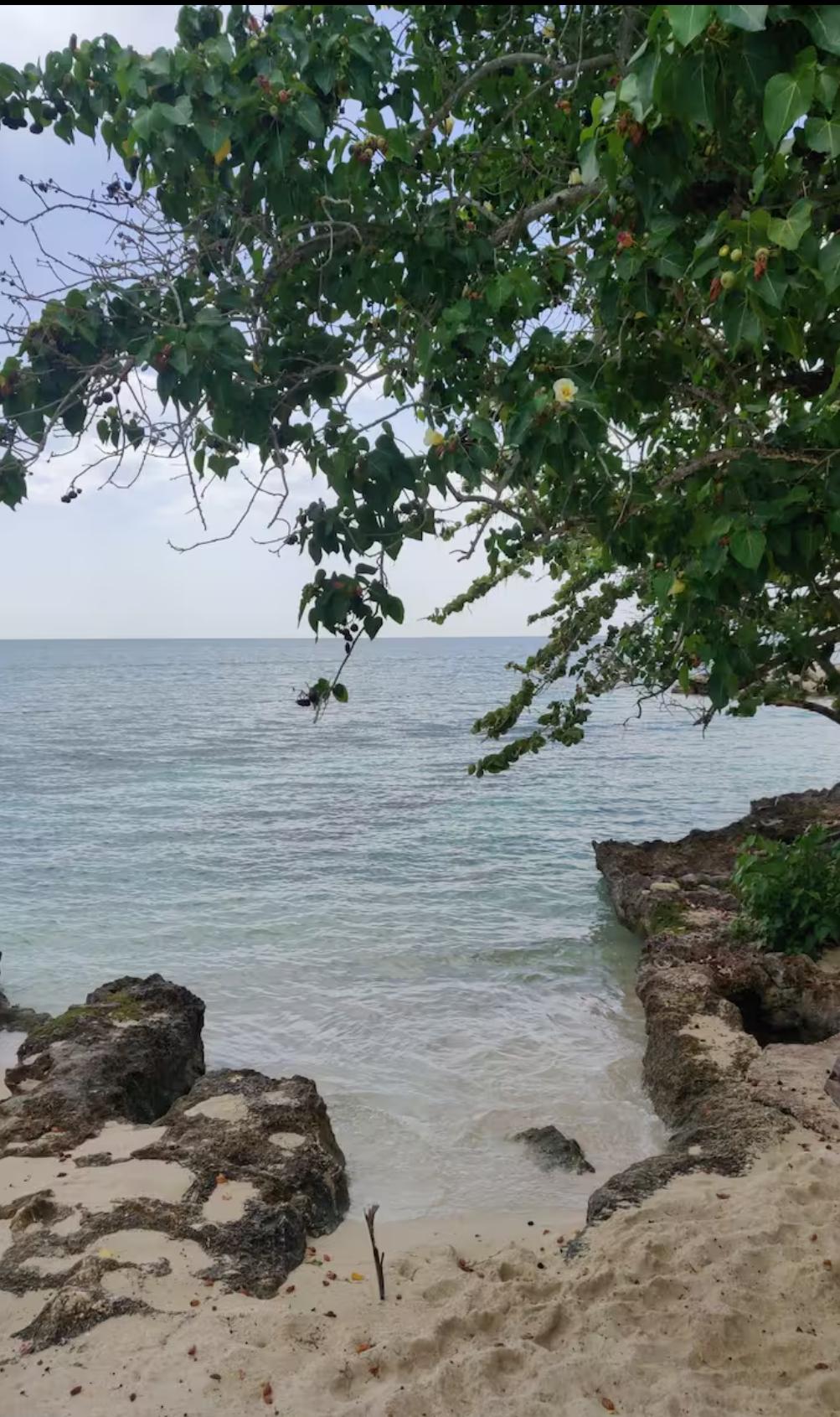 Eighteenth image of 19- Point Village in Point, Hanover, Jamaica - property is For Rent