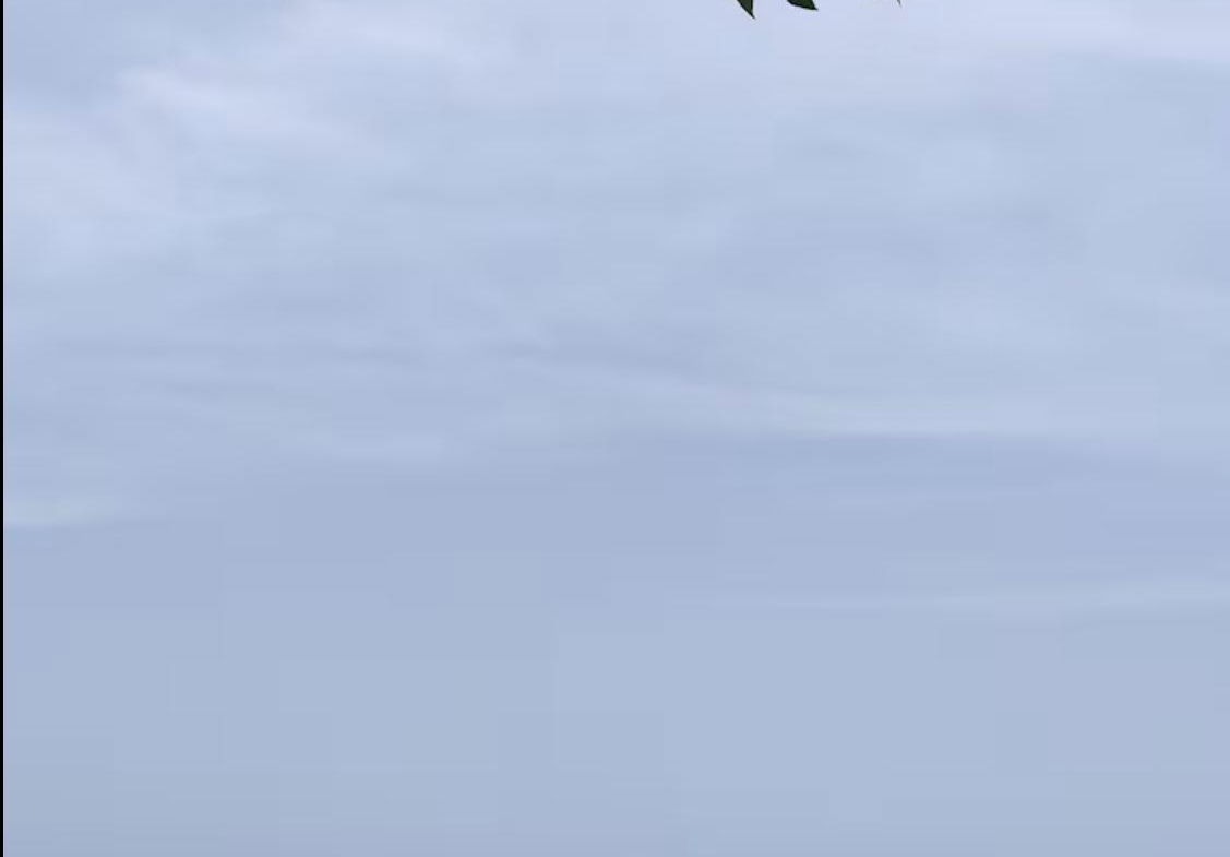 Nineteenth image of 19- Point Village in Point, Hanover, Jamaica - property is For Rent