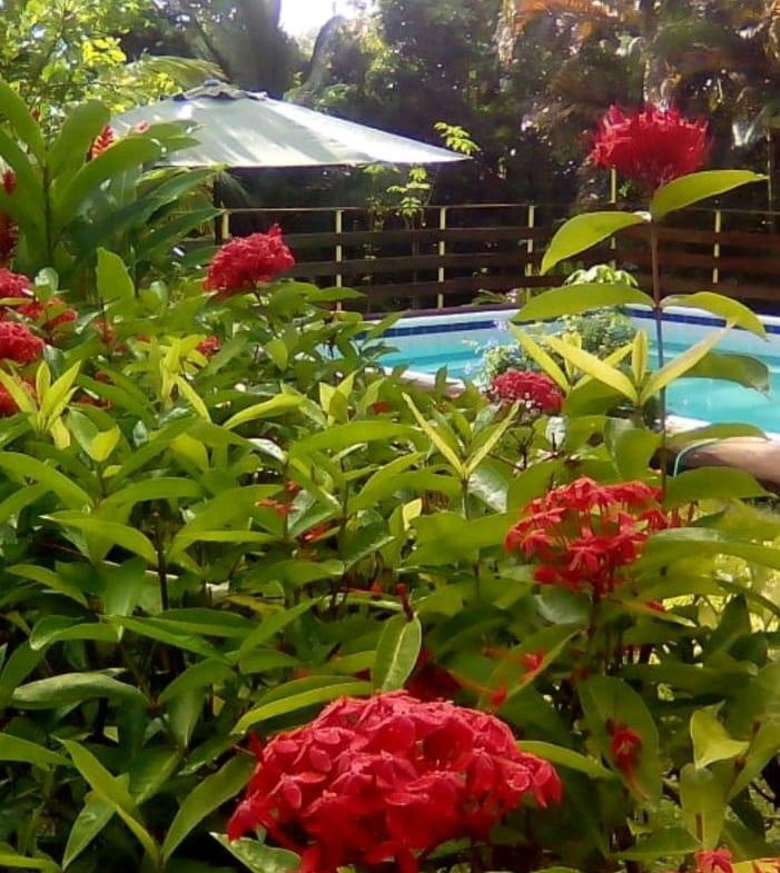 Fifth image of Glen Leigh- St. Mary in Harmony Hall, St. Mary, Jamaica - property is For Sale