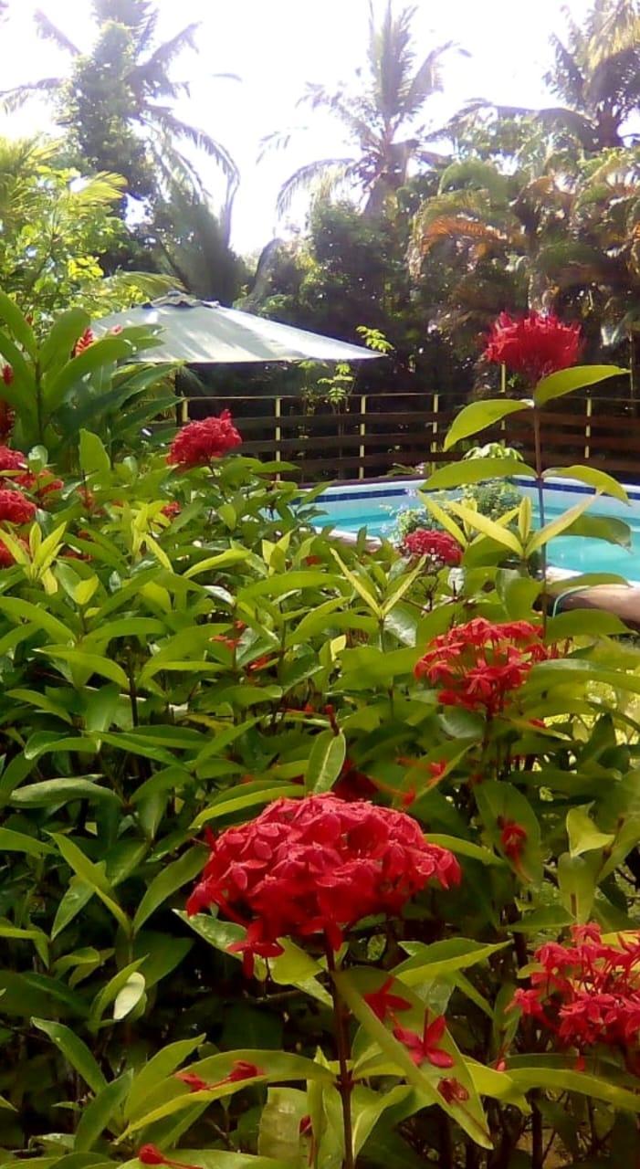 Fifth image of Glen Leigh- St. Mary in Harmony Hall, St. Mary, Jamaica - property is For Sale
