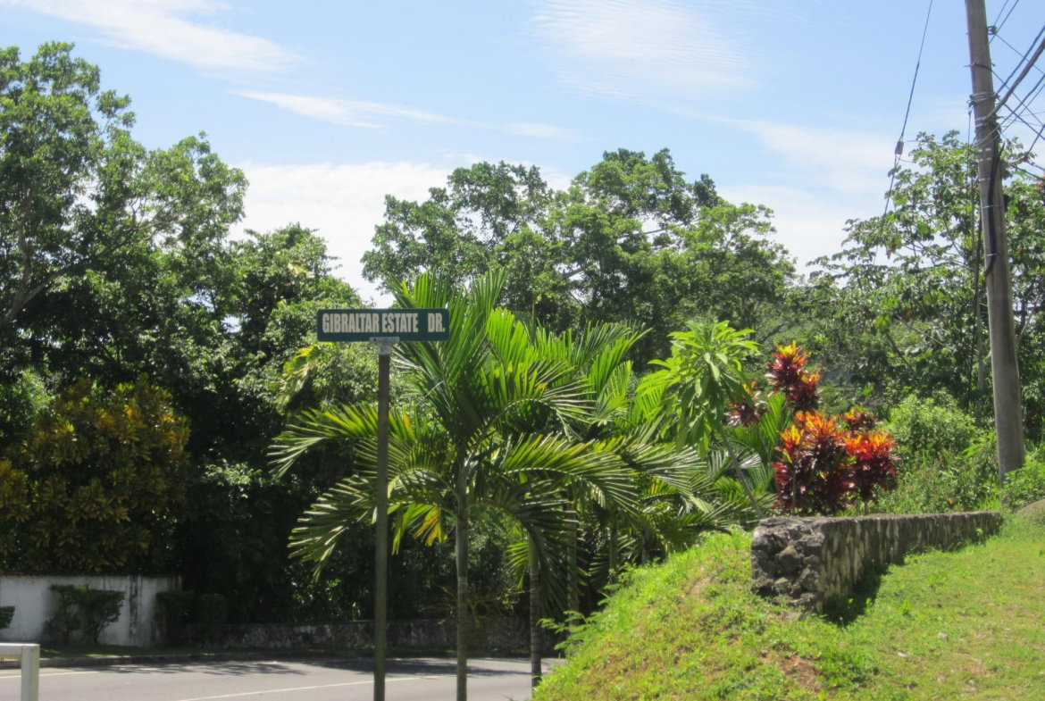 Second image of Lot-31 Gibraltar Estate in Oracabessa, St. Mary, Jamaica - property is For Sale