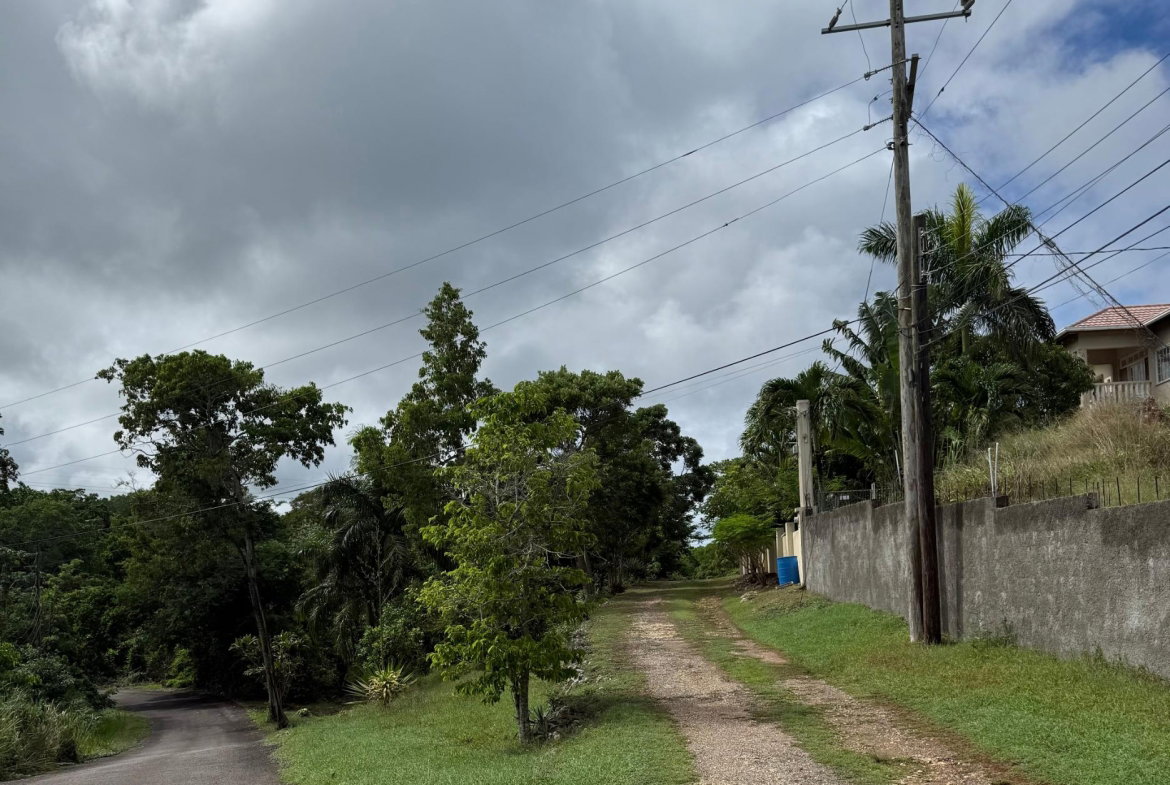Eleventh image of Lot-31 Gibraltar Estate in Oracabessa, St. Mary, Jamaica - property is For Sale