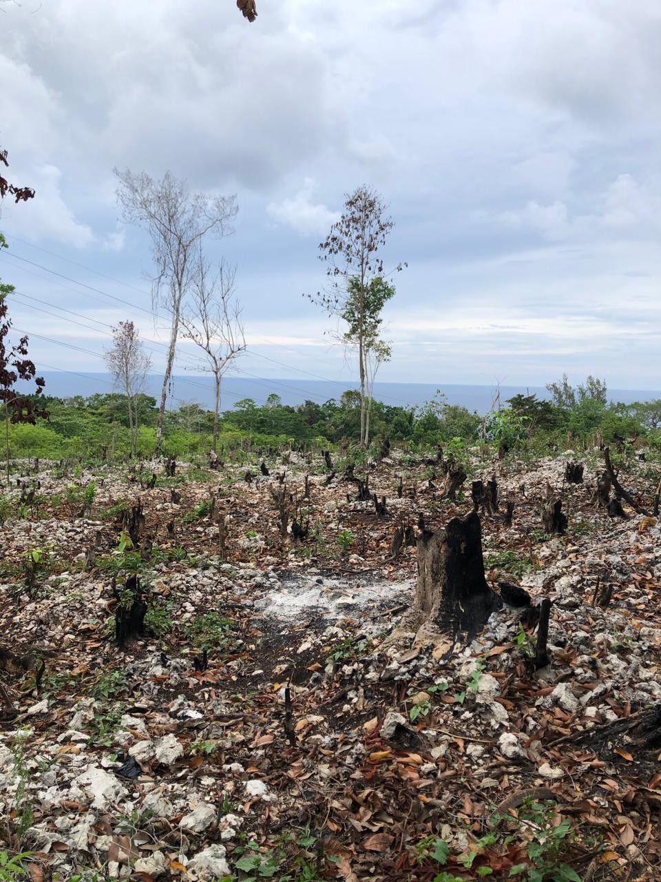 Third image of Lot-31 Gibraltar Estate in Oracabessa, St. Mary, Jamaica - property is For Sale