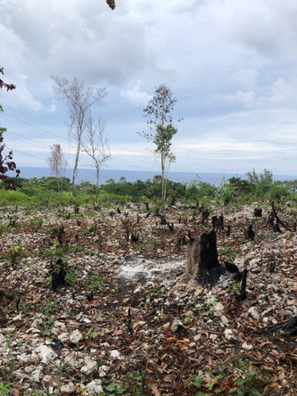 Third image of Lot-31 Gibraltar Estate in Oracabessa, St. Mary, Jamaica - property is For Sale