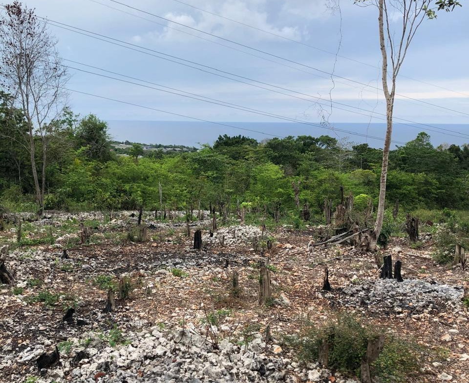 Fourth image of Lot-31 Gibraltar Estate in Oracabessa, St. Mary, Jamaica - property is For Sale