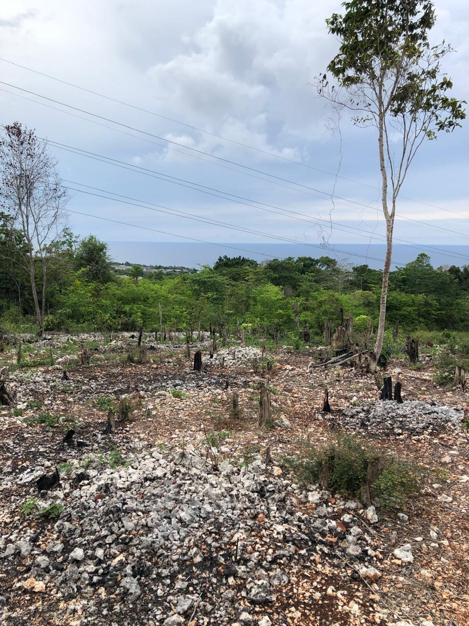 Fourth image of Lot-31 Gibraltar Estate in Oracabessa, St. Mary, Jamaica - property is For Sale
