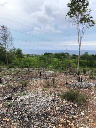 Fourth image of Lot-31 Gibraltar Estate in Oracabessa, St. Mary, Jamaica - property is For Sale