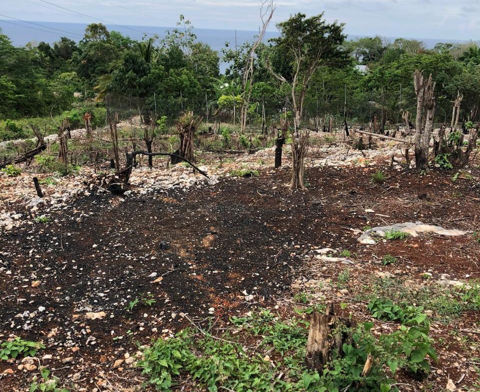 Fifth image of Lot-31 Gibraltar Estate in Oracabessa, St. Mary, Jamaica - property is For Sale