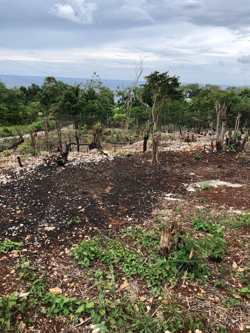 Fifth image of Lot-31 Gibraltar Estate in Oracabessa, St. Mary, Jamaica - property is For Sale