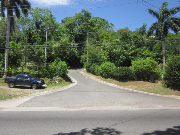 First image of Lot-31 Gibraltar Estate in Oracabessa, St. Mary, Jamaica - property is For Sale