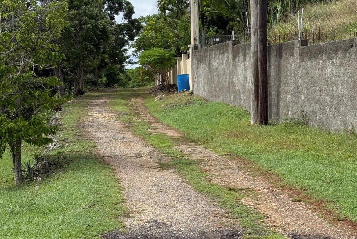 Tenth image of Lot-31 Gibraltar Estate in Oracabessa, St. Mary, Jamaica - property is For Sale