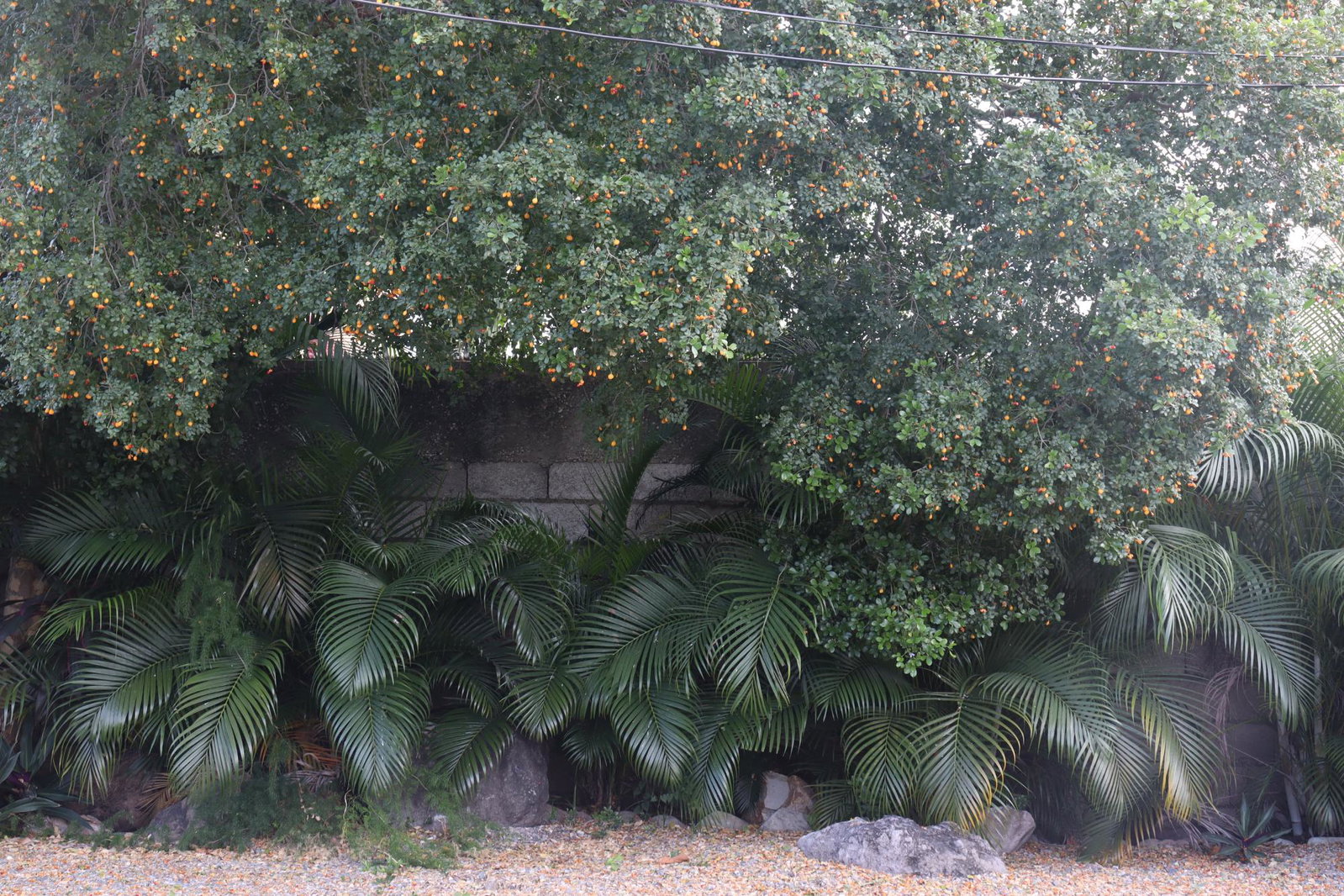 Heritage-4-Bedroom-House-for-Rent-in-St.-Andrew-Jamaica-18-Rochester-Ave Twenty-Seventh image of 18 Rochester Avenue in Kingston 8, St. Andrew, Jamaica - property is For Rent