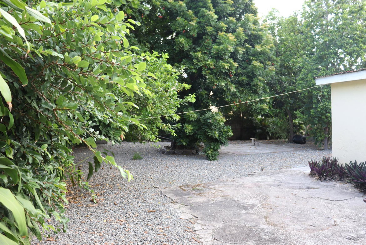 Thirtieth image of 18 Rochester Avenue in Kingston 8, St. Andrew, Jamaica - property is For Rent