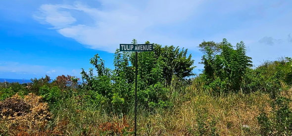 Tenth image of 248 Belle Air Runaway Bay in Belle Air, St. Ann, Jamaica - property is For Sale