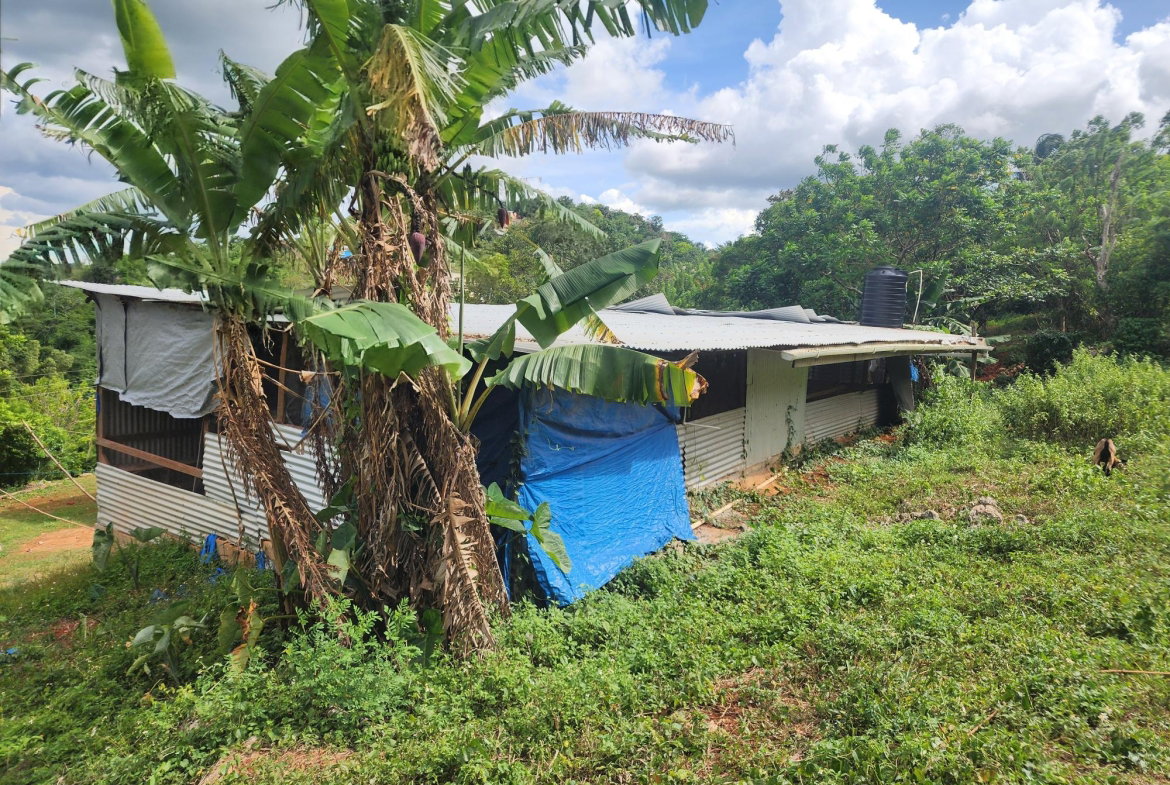 Twenty-Fourth image of Greyground, Manchester in Grey Ground, Manchester, Jamaica - property is For Sale