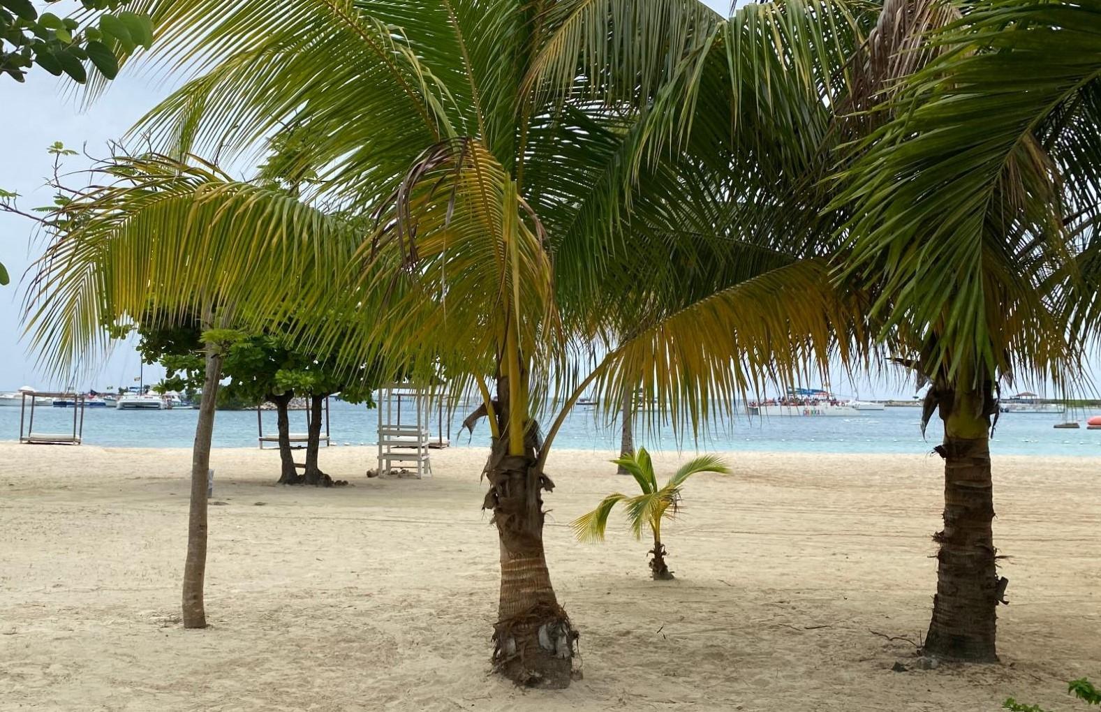 Ninth image of E-33-1 Main Street in Ocho Rios, St. Ann, Jamaica - property is For Sale