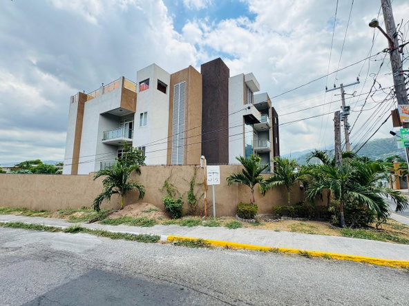 Fourth image of 9 Liguanea Ave, Kingston 6 in Kingston 6, St. Andrew, Jamaica - property is For Rent