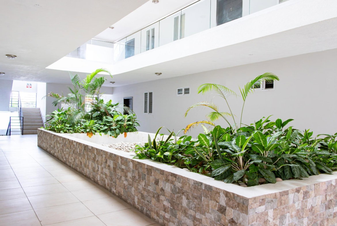 Twenty-Second image of 4-11 1/2 Charlemont Avenue in Kingston 6, St. Andrew, Jamaica - property is For Rent