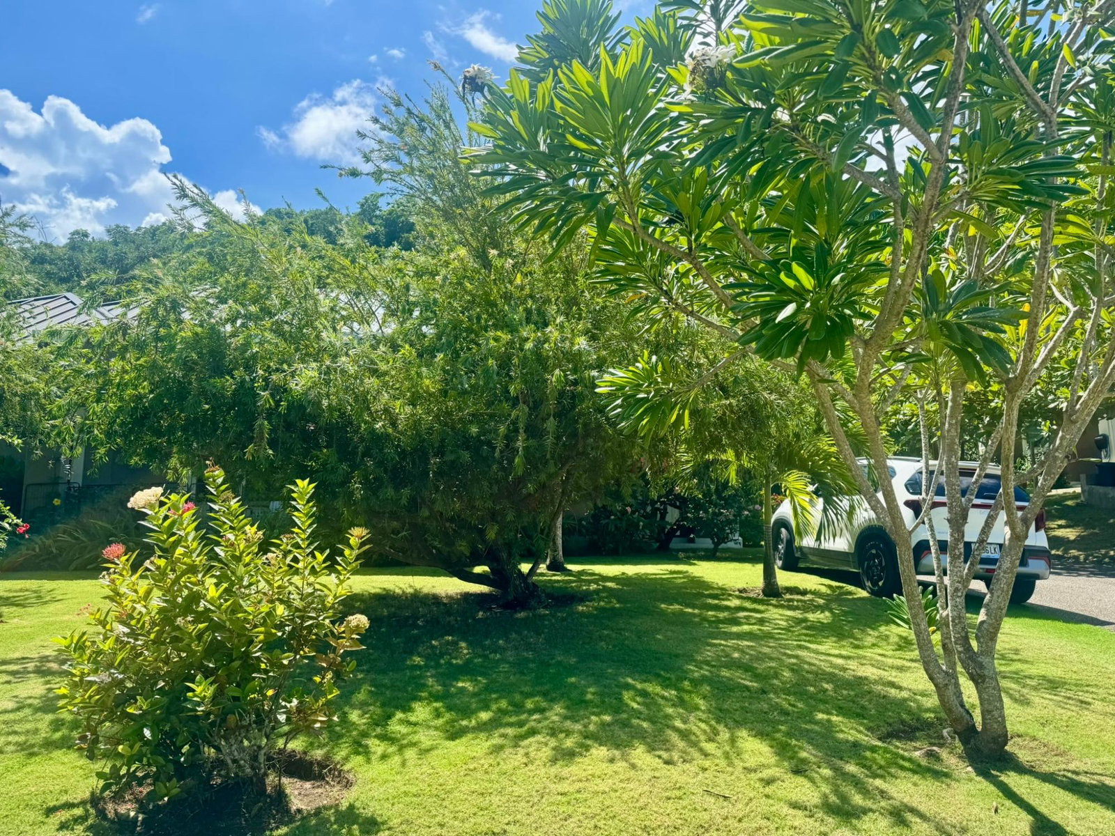 Luxury-4-Bedroom-House-for-Rent-in-Tara-Estates-Montego-Bay-St.-James Seventh image of 25 Tara Estates in Reading, St. James, Jamaica - property is For Rent