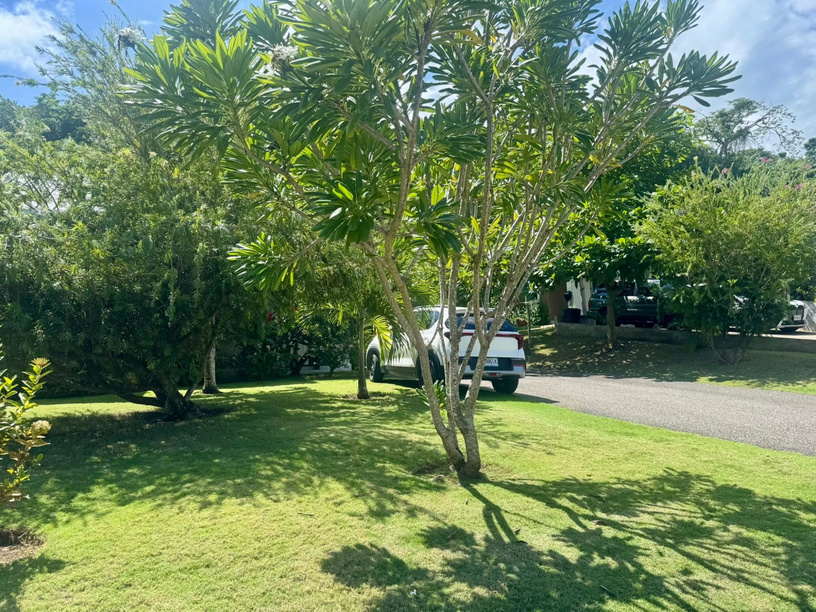 Luxury-4-Bedroom-House-for-Rent-in-Tara-Estates-Montego-Bay-St.-James Ninth image of 25 Tara Estates in Reading, St. James, Jamaica - property is For Rent