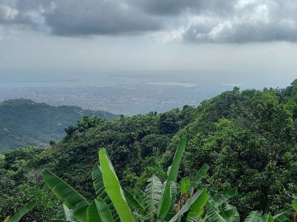 Luxury 6-Bedroom House for Sale in St. Andrew, Jamaica | 37 Peter's Rock 3 First image of 37 Peter's Rock in Woodford P.O., St. Andrew, Jamaica - property is For Sale