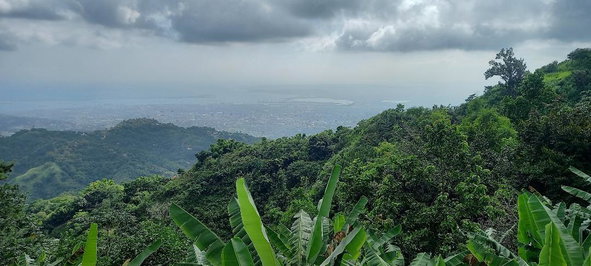 First image of 37 Peter's Rock in Woodford P.O., St. Andrew, Jamaica - property is For Sale