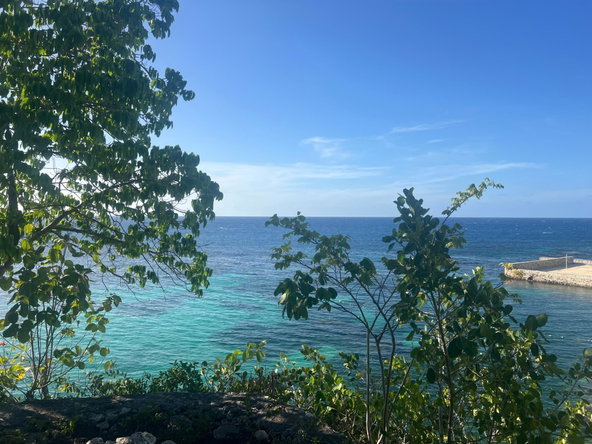 Fourteenth image of 4- Liberty Castle Oracabessa in Oracabessa, St. Mary, Jamaica - property is For Sale