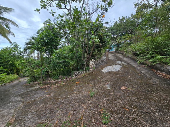 Fifth image of Cudjoe Hill in Watermount, St. Catherine, Jamaica - property is For Sale