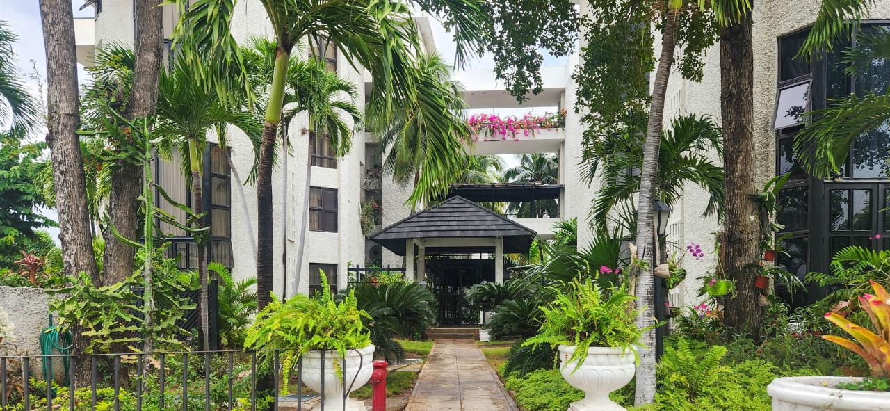 Thirteenth image of 207-1 Caribbean Close in Kingston 5, St. Andrew, Jamaica - property is For Rent