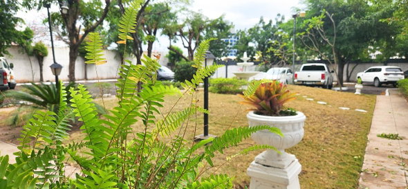 Fifteenth image of 207-1 Caribbean Close in Kingston 5, St. Andrew, Jamaica - property is For Rent