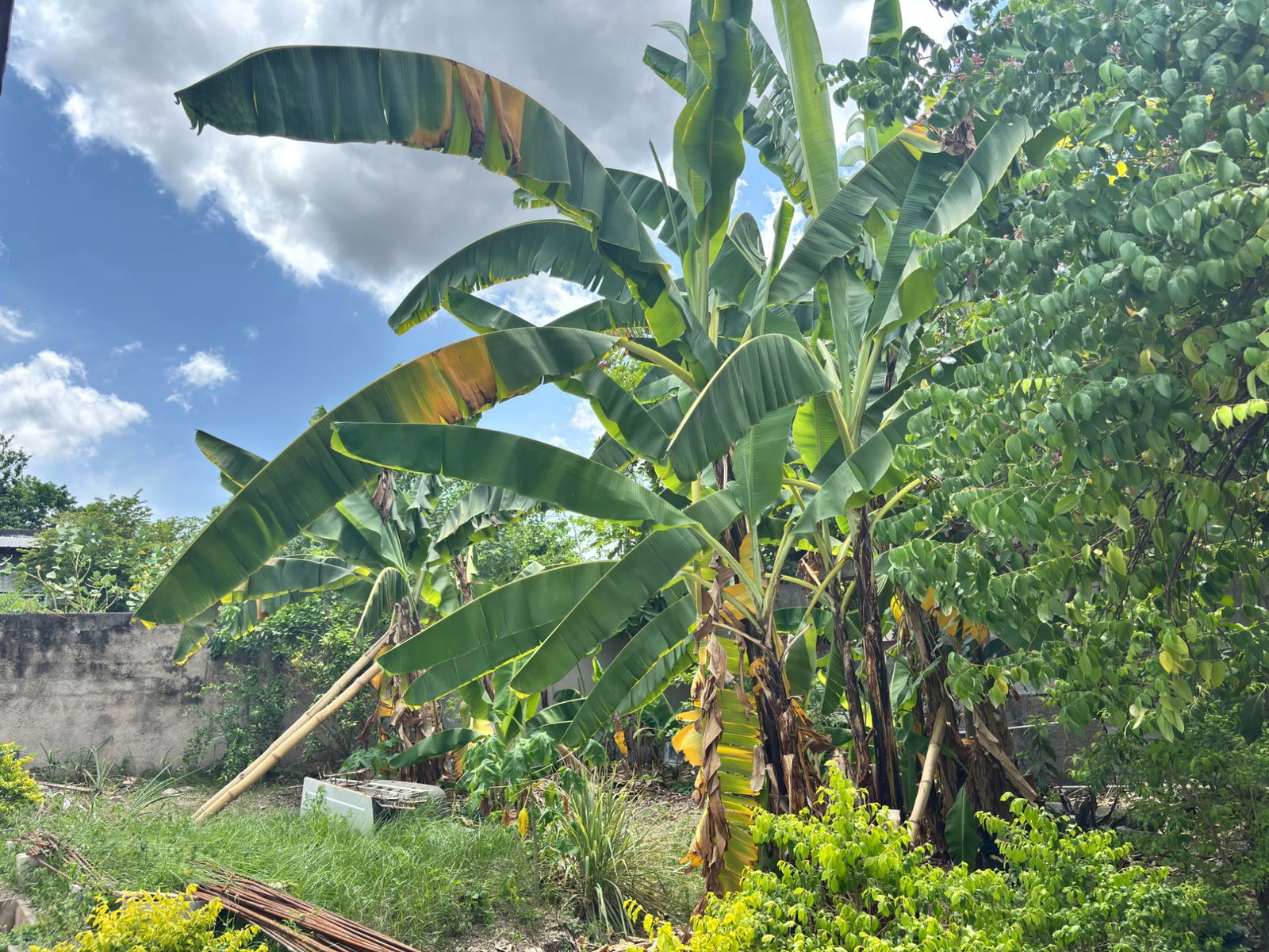 Fourteenth image of 2-14 Christopher Boulevard in Kingston 19, St. Andrew, Jamaica - property is For Rent