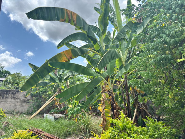 Fourteenth image of 2-14 Christopher Boulevard in Kingston 19, St. Andrew, Jamaica - property is For Rent