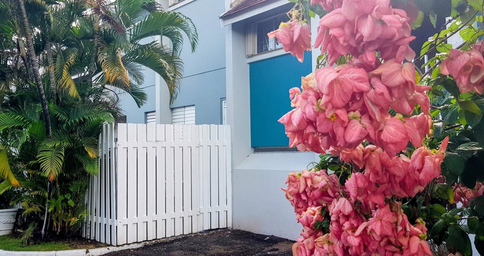 Second image of 3-107 Hope Road, Kingston 6 in Kingston 6, St. Andrew, Jamaica - property is For Rent
