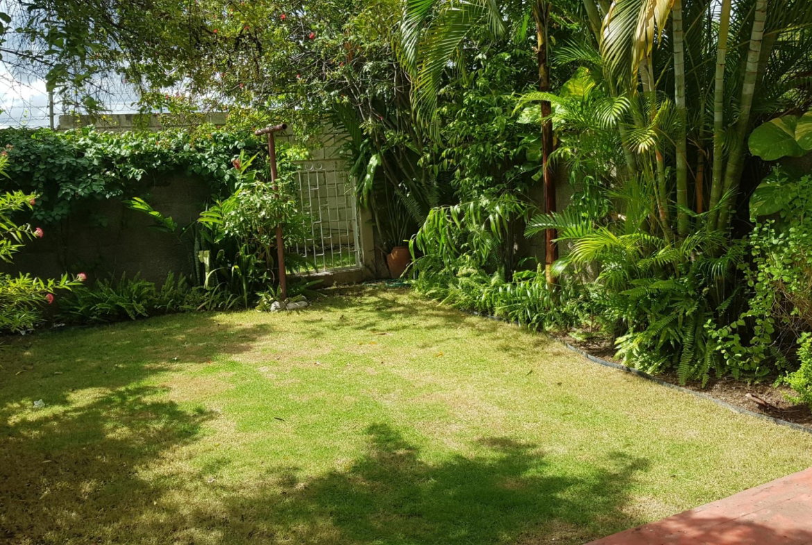 Sixth image of 3-107 Hope Road, Kingston 6 in Kingston 6, St. Andrew, Jamaica - property is For Rent