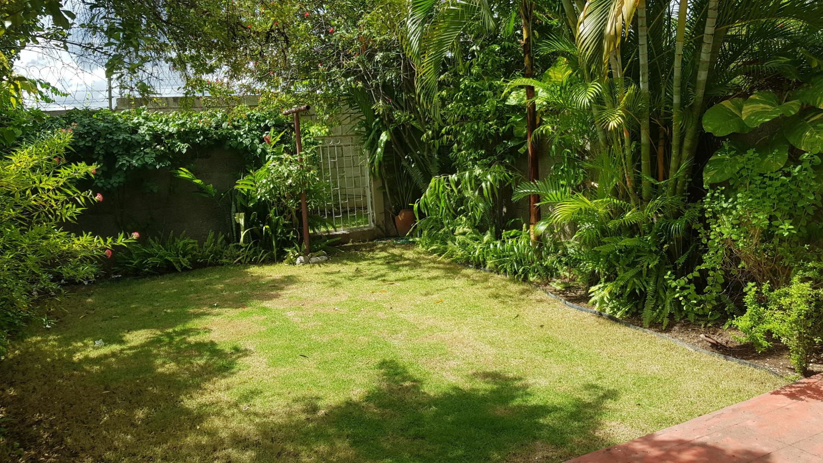 Sixth image of 3-107 Hope Road, Kingston 6 in Kingston 6, St. Andrew, Jamaica - property is For Rent
