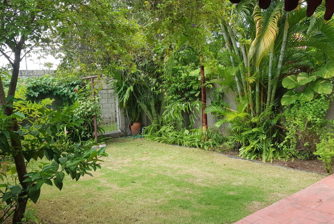 Seventh image of 3-107 Hope Road, Kingston 6 in Kingston 6, St. Andrew, Jamaica - property is For Rent