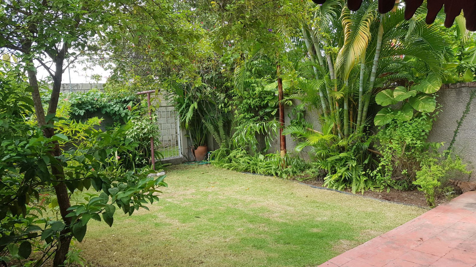 Seventh image of 3-107 Hope Road, Kingston 6 in Kingston 6, St. Andrew, Jamaica - property is For Rent