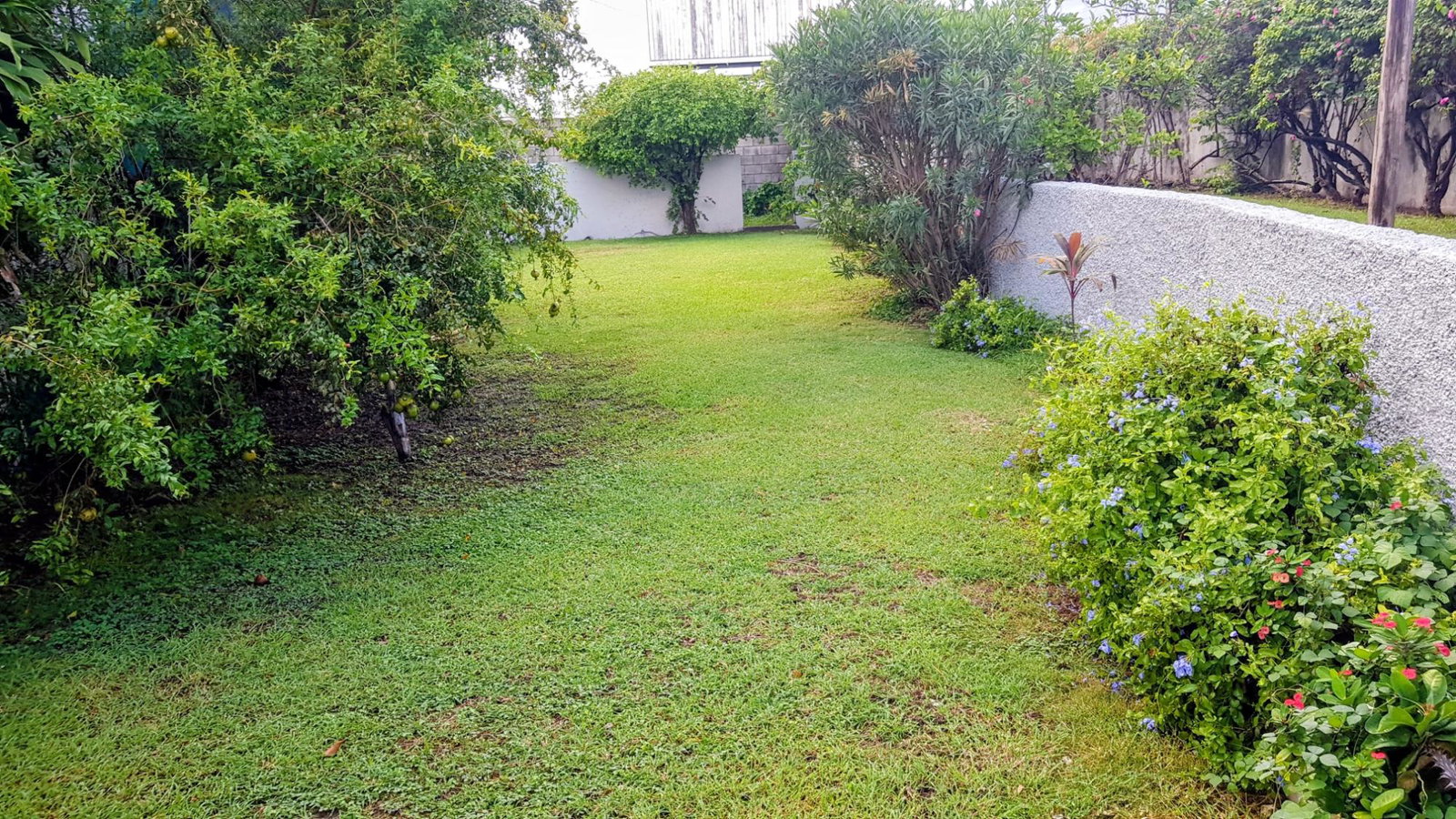 Eighth image of 3-107 Hope Road, Kingston 6 in Kingston 6, St. Andrew, Jamaica - property is For Rent