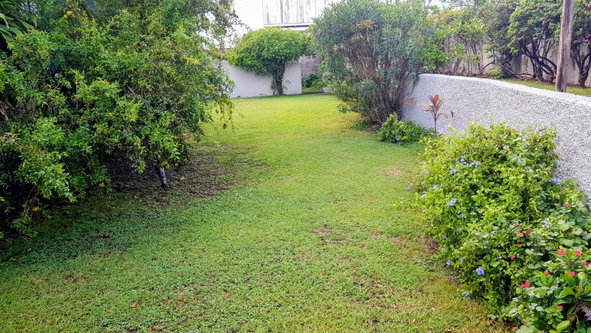 Eighth image of 3-107 Hope Road, Kingston 6 in Kingston 6, St. Andrew, Jamaica - property is For Rent