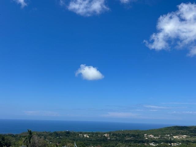 Twenty-Ninth image of 123 Edmund Ridge Estaes in SPOT VALLEY, St. James, Jamaica - property is For Rent