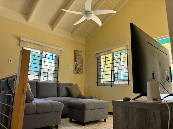 Sixth image of 123 Edmund Ridge Estaes in SPOT VALLEY, St. James, Jamaica - property is For Rent