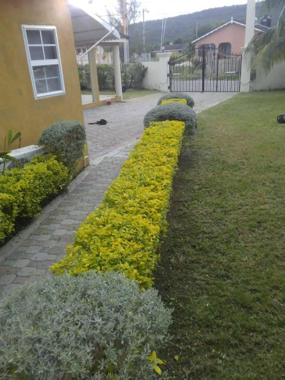 Twelfth image of ,rhyne Park, Montego Bay in Rose Hall, St. James, Jamaica - property is For Sale
