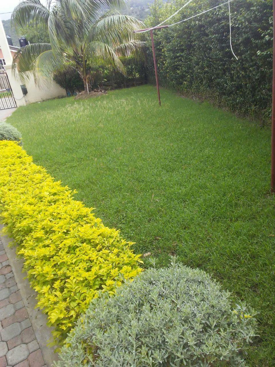 Fifth image of ,rhyne Park, Montego Bay in Rose Hall, St. James, Jamaica - property is For Sale