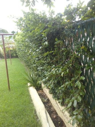 Seventh image of ,rhyne Park, Montego Bay in Rose Hall, St. James, Jamaica - property is For Sale