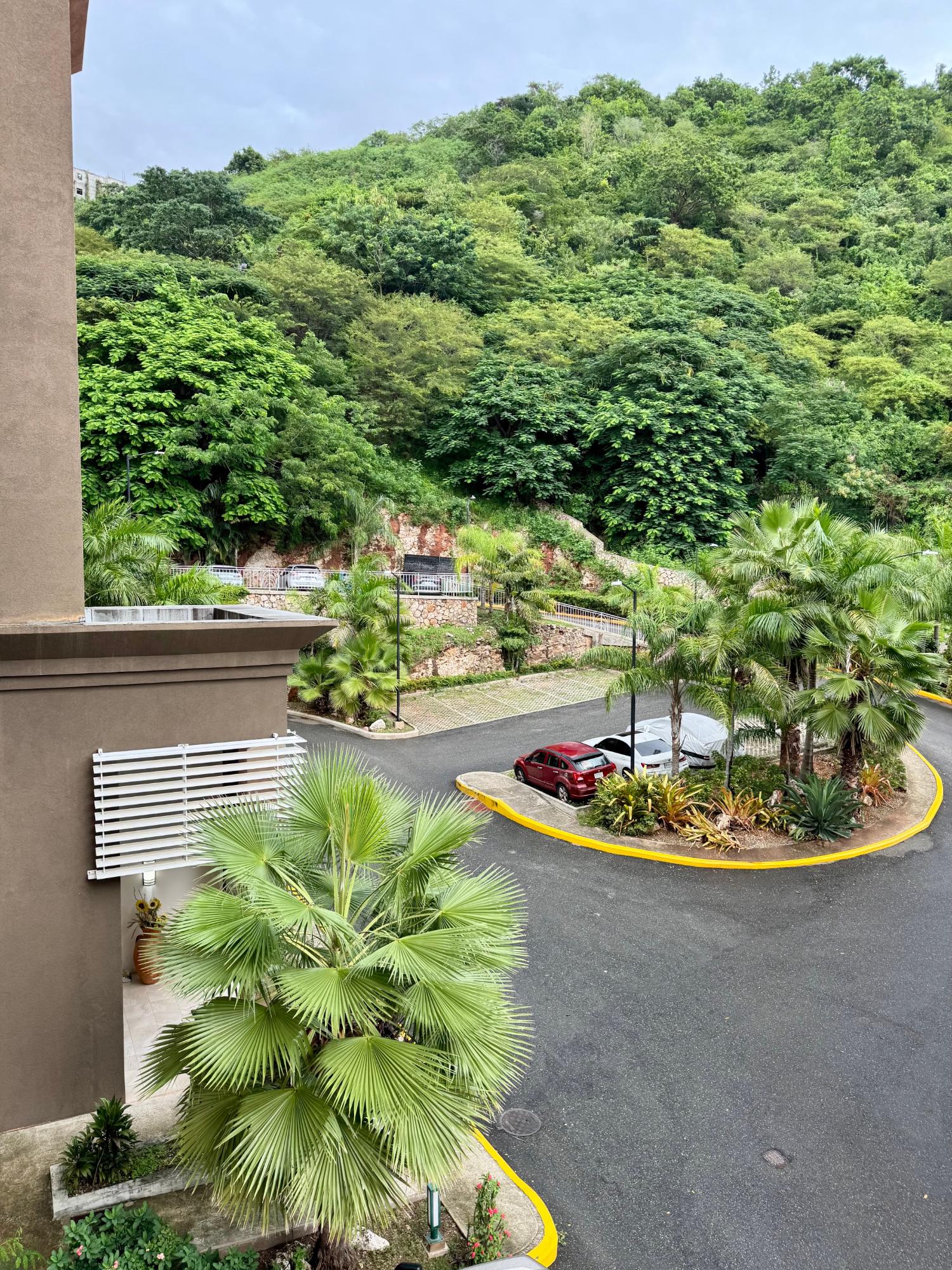Thirteenth image of 3 Stanley Terrace in Kingston 19, St. Andrew, Jamaica - property is For Sale