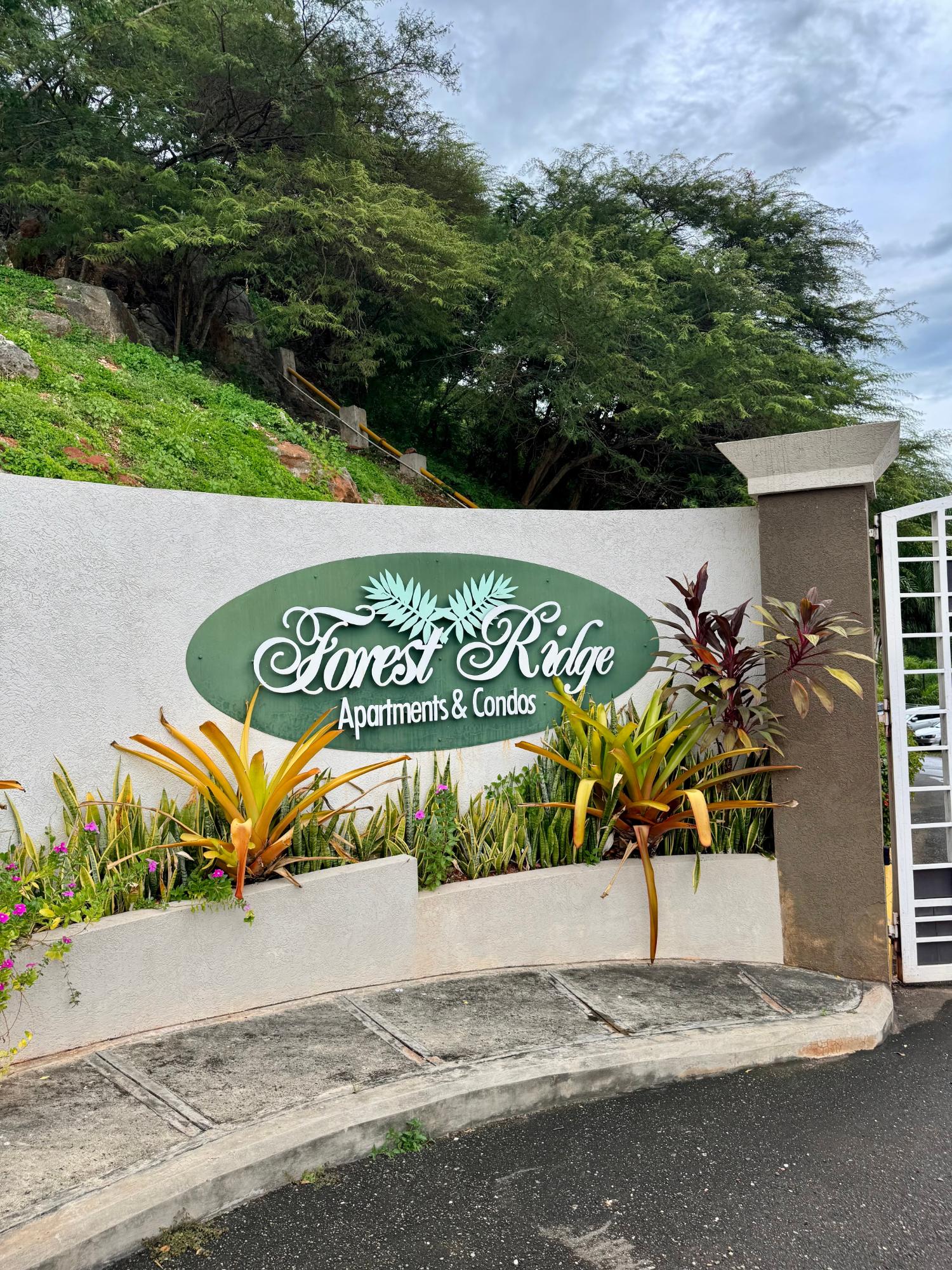 Eighteenth image of 3 Stanley Terrace in Kingston 19, St. Andrew, Jamaica - property is For Sale