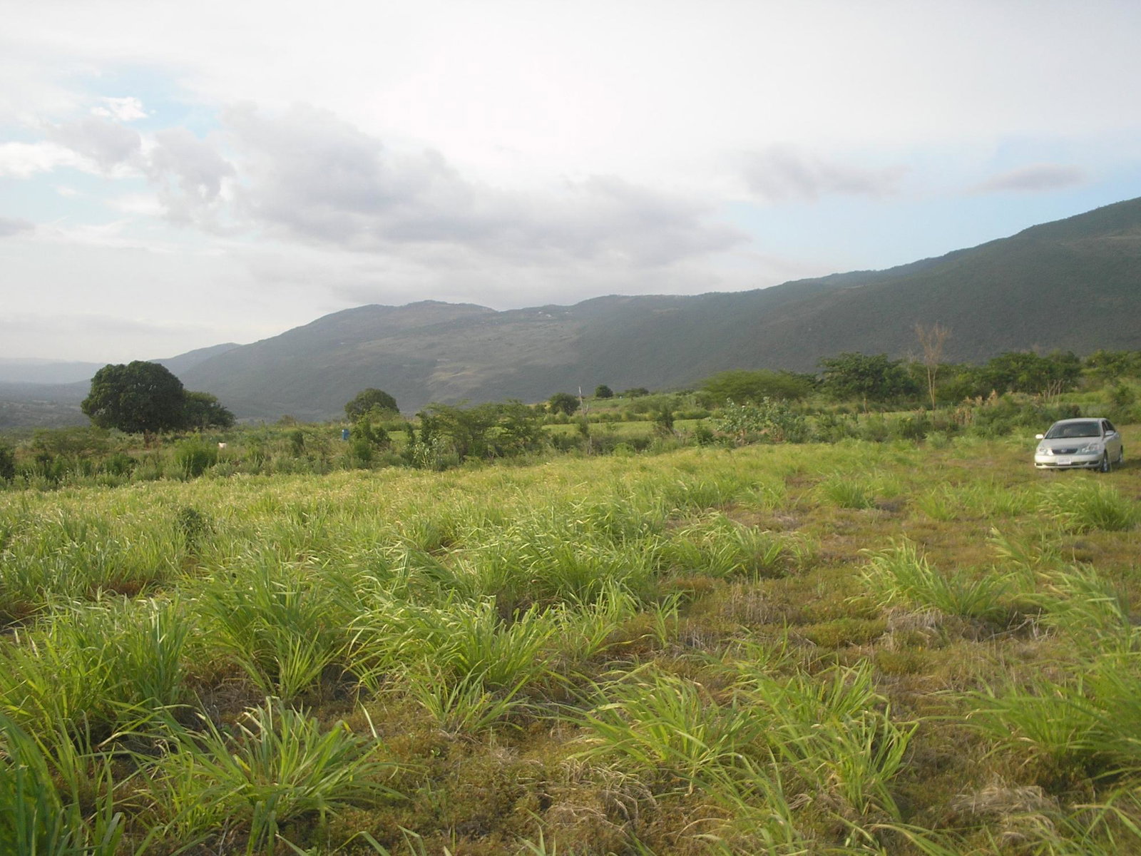 Second image of Round Hill, St. Elizabeth in Treasure Beach, St. Elizabeth, Jamaica - property is For Sale