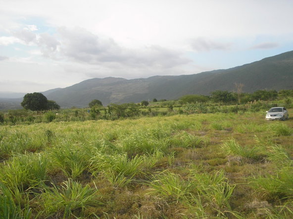 Second image of Round Hill, St. Elizabeth in Treasure Beach, St. Elizabeth, Jamaica - property is For Sale